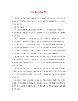 公司会议总结范文