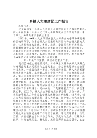 乡镇人大主席团工作报告 (18)