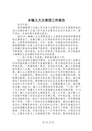 乡镇人大主席团工作报告 (12)