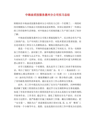 中海油采技服务惠州分公司实习总结 