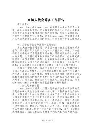 乡镇人代会筹备工作报告