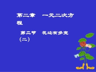 花边有多宽（二）演示文稿