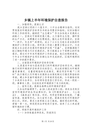 乡镇上半年环境保护自查报告