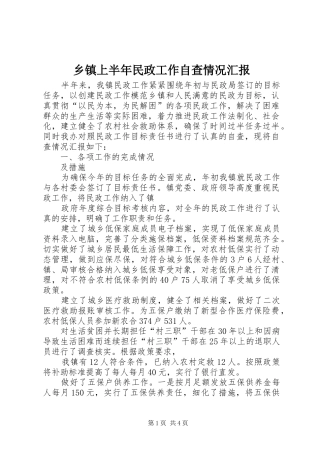 乡镇上半年民政工作自查情况汇报