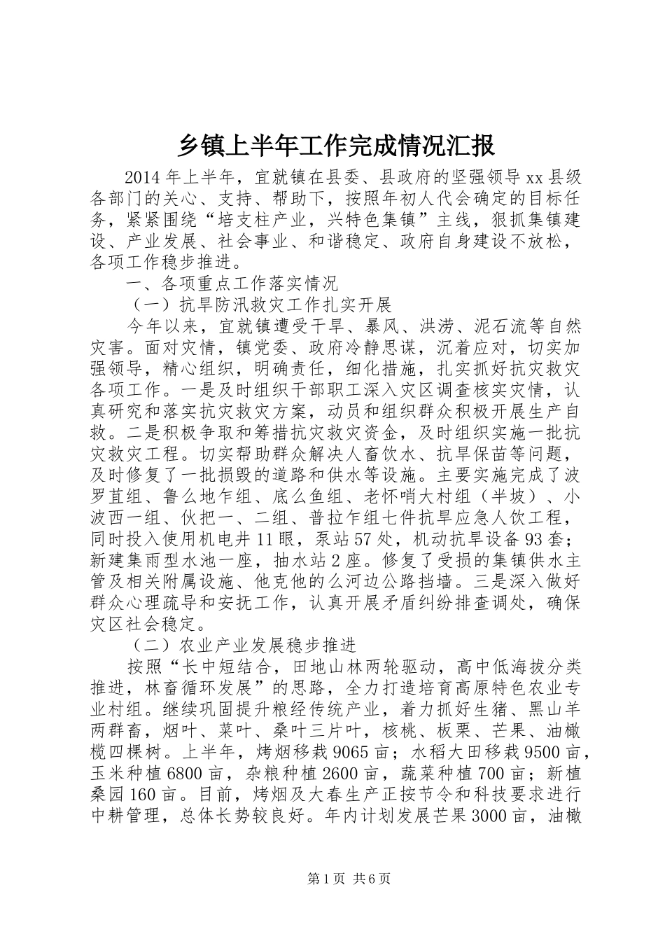 乡镇上半年工作完成情况汇报_第1页