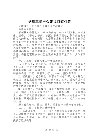 乡镇三资中心建设自查报告