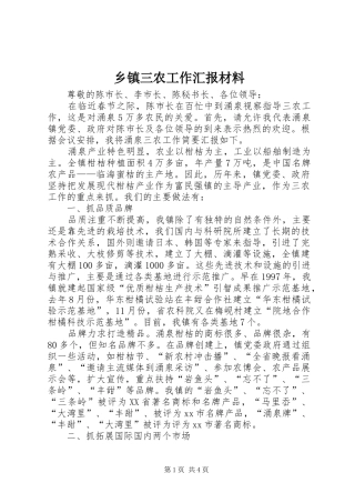 乡镇三农工作汇报材料