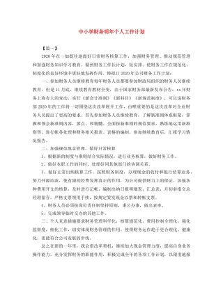 中小学财务明年个人工作计划 