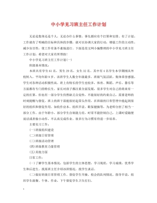 中小学见习班主任工作计划 