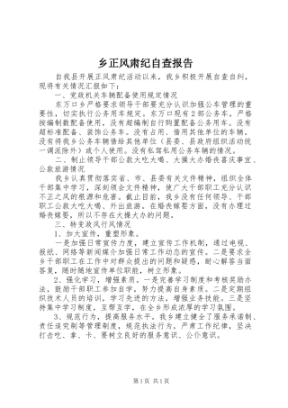 乡正风肃纪自查报告