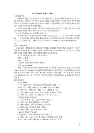 中考语文字音字形和书写部分专题