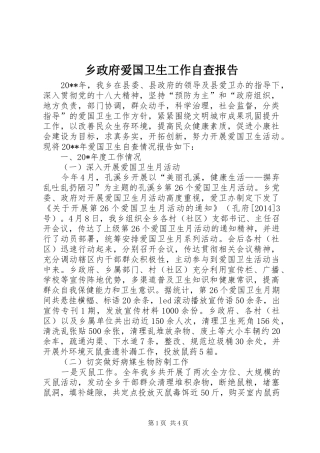 乡政府爱国卫生工作自查报告