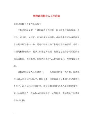 销售试用期个人工作总结