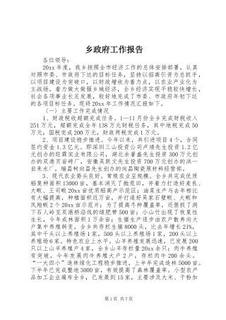 乡政府工作报告 (14)