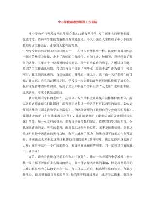 中小学校新教师培训工作总结 