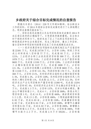 乡政府关于综合目标完成情况的自查报告