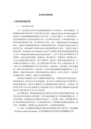 肌肉的收缩原理