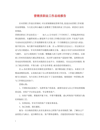 营销员职业工作总结报告