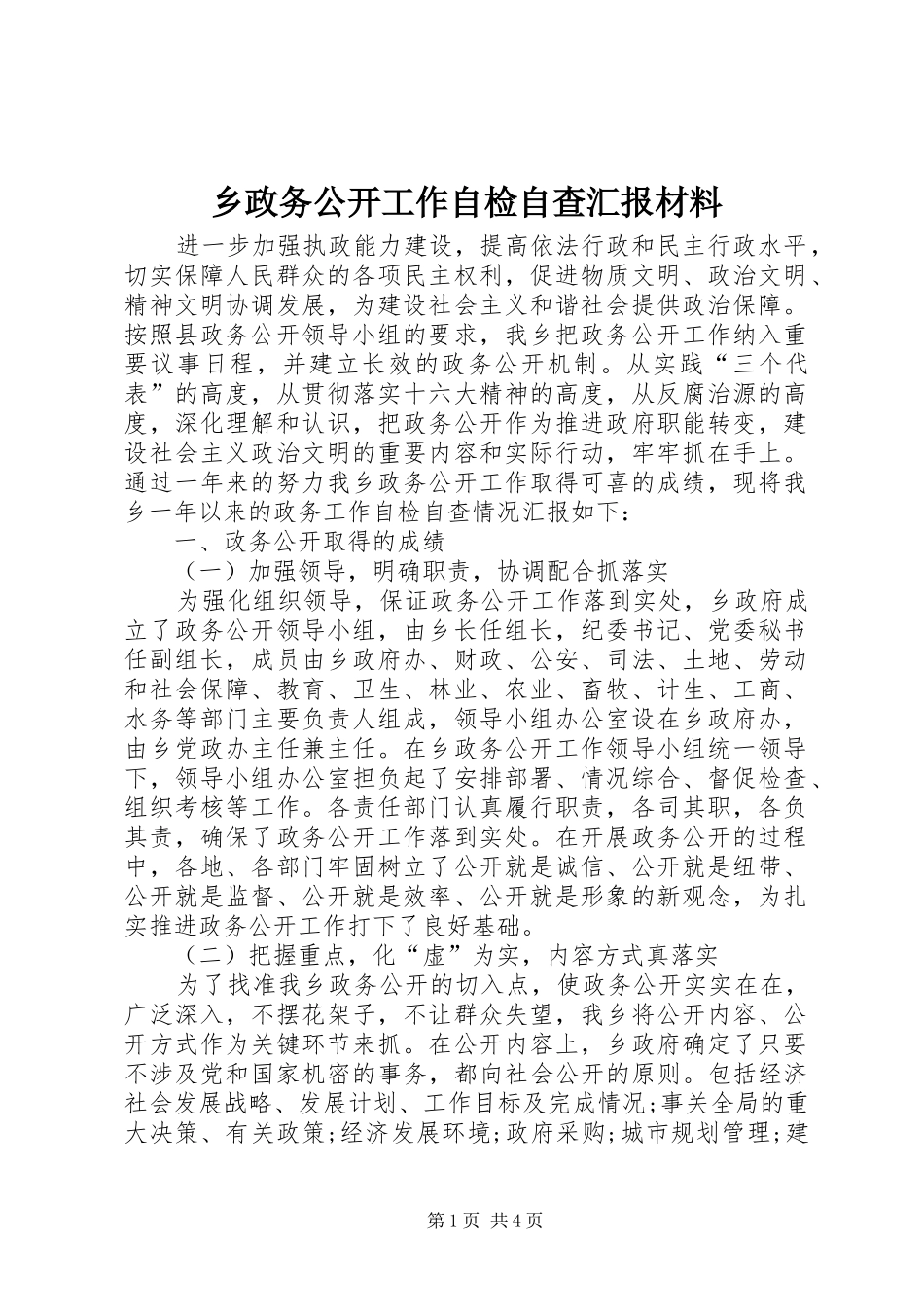 乡政务公开工作自检自查汇报材料_第1页