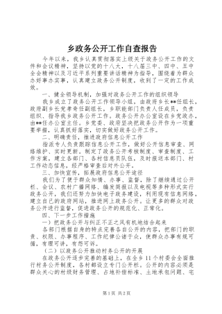 乡政务公开工作自查报告