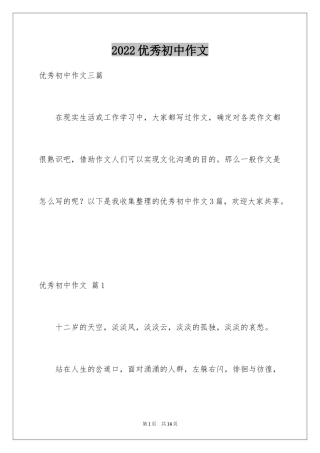 2022优秀初中作文_101