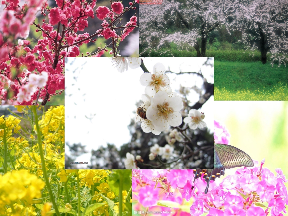 口语交际演示文稿(1)_第3页