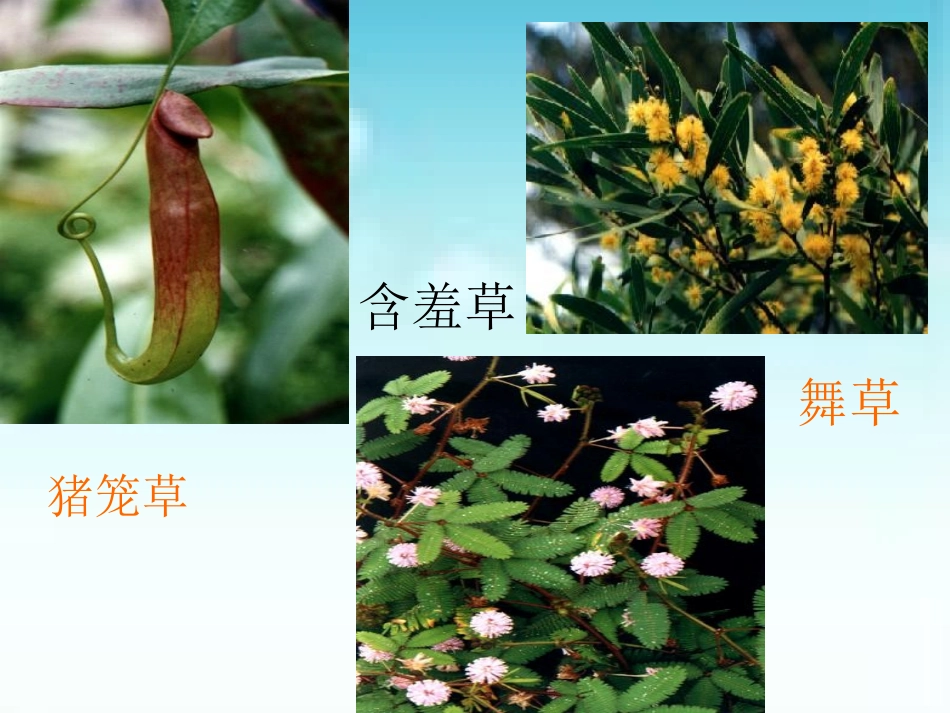 信息技术编辑科普短文_第2页