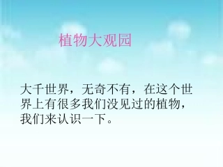 信息技术编辑科普短文