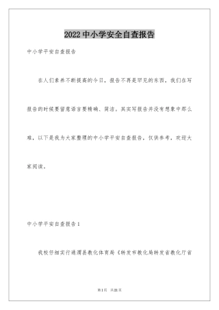 2022中小学安全自查报告