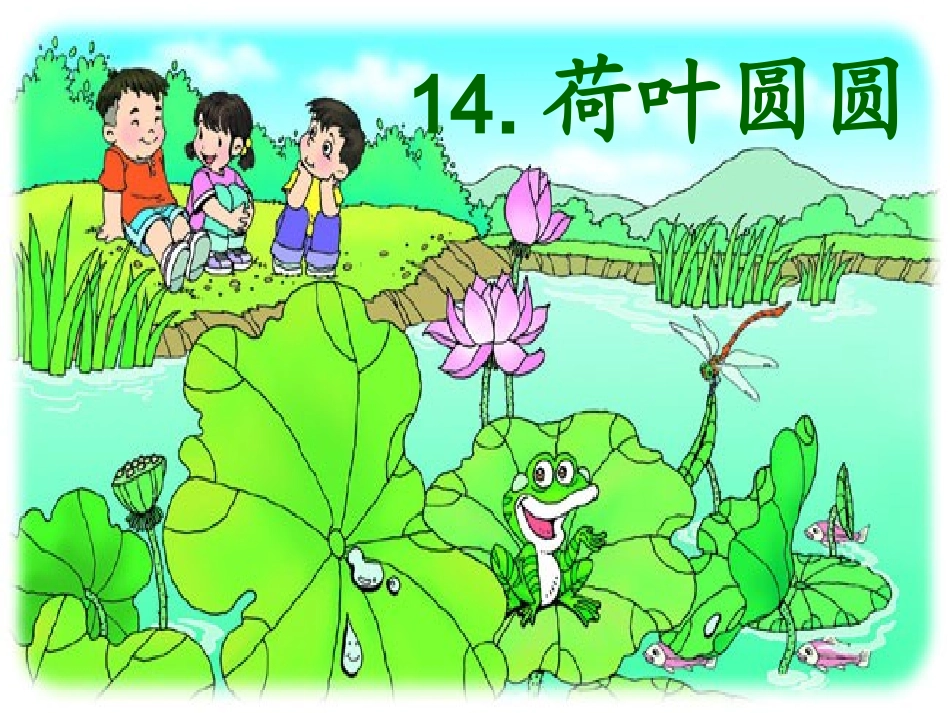 荷叶圆圆课件 (2)_第1页