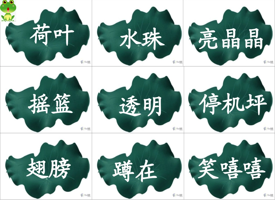 荷叶圆圆课件 (2)_第2页