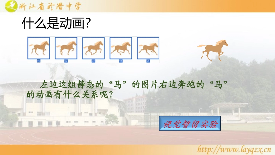 第一课初识Flash_课件_第2页