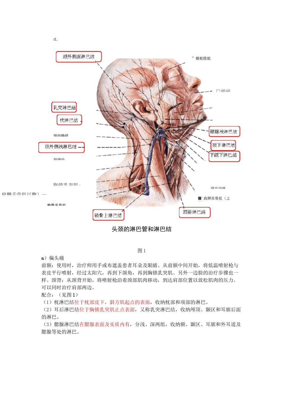 低温冲击镇痛仪治疗方案_第2页