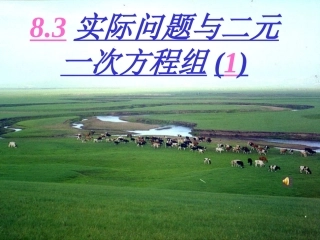 实际问题与二元一次方程组（）