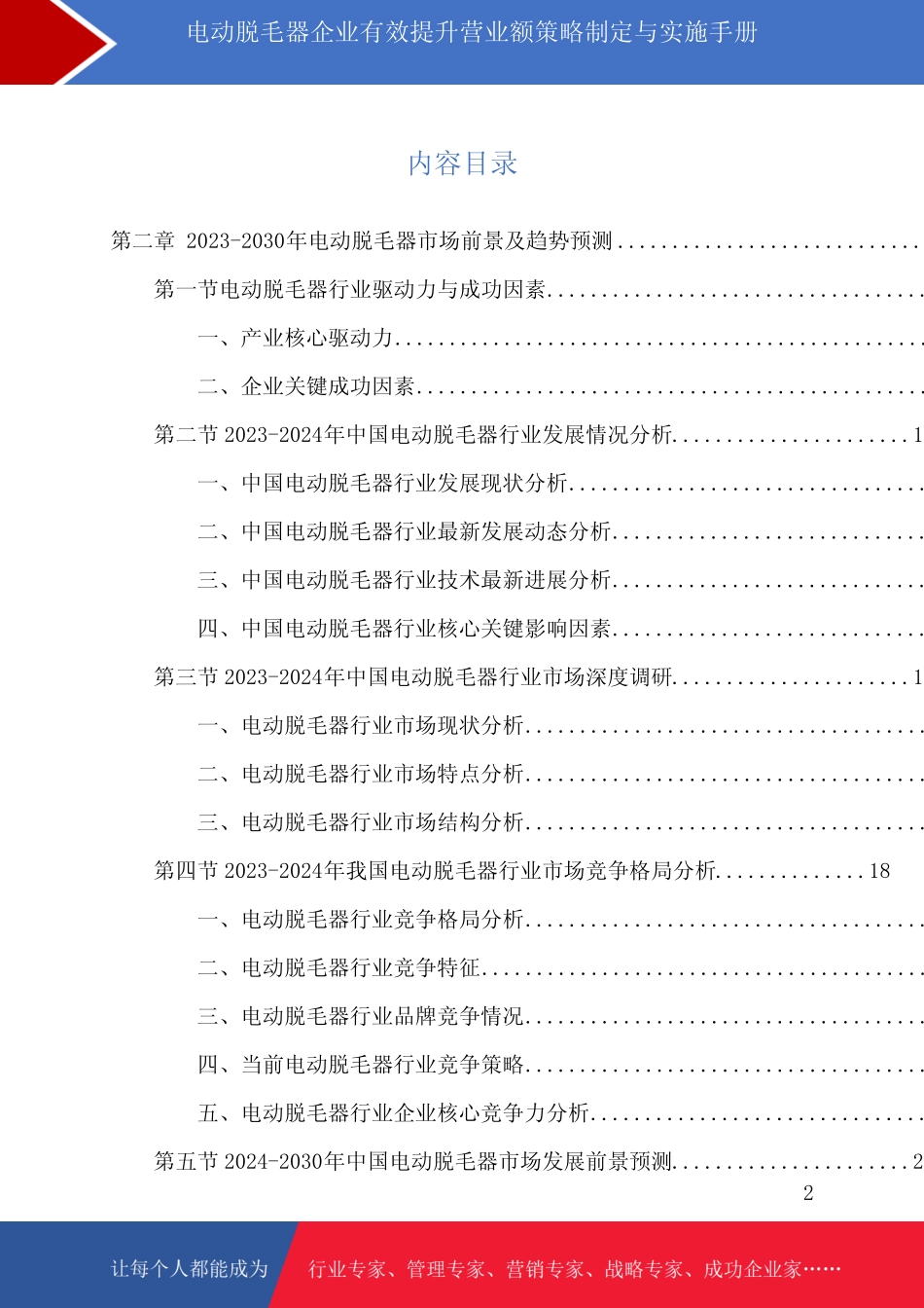 电动脱毛器企业有效提升营业额策略制定与实施手册_第2页