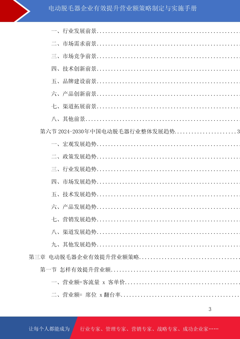 电动脱毛器企业有效提升营业额策略制定与实施手册_第3页