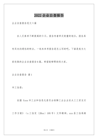 2022企业自查报告_79