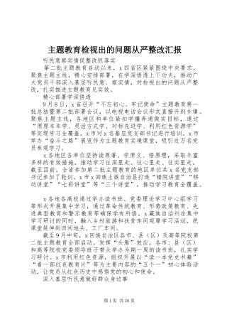 主题教育检视出的问题从严整改汇报