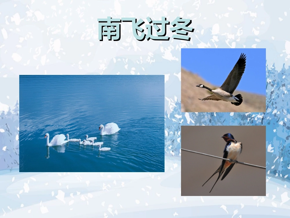 动物过冬课件_第2页