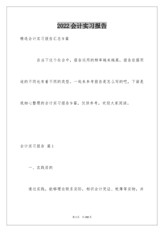 2022会计实习报告_124