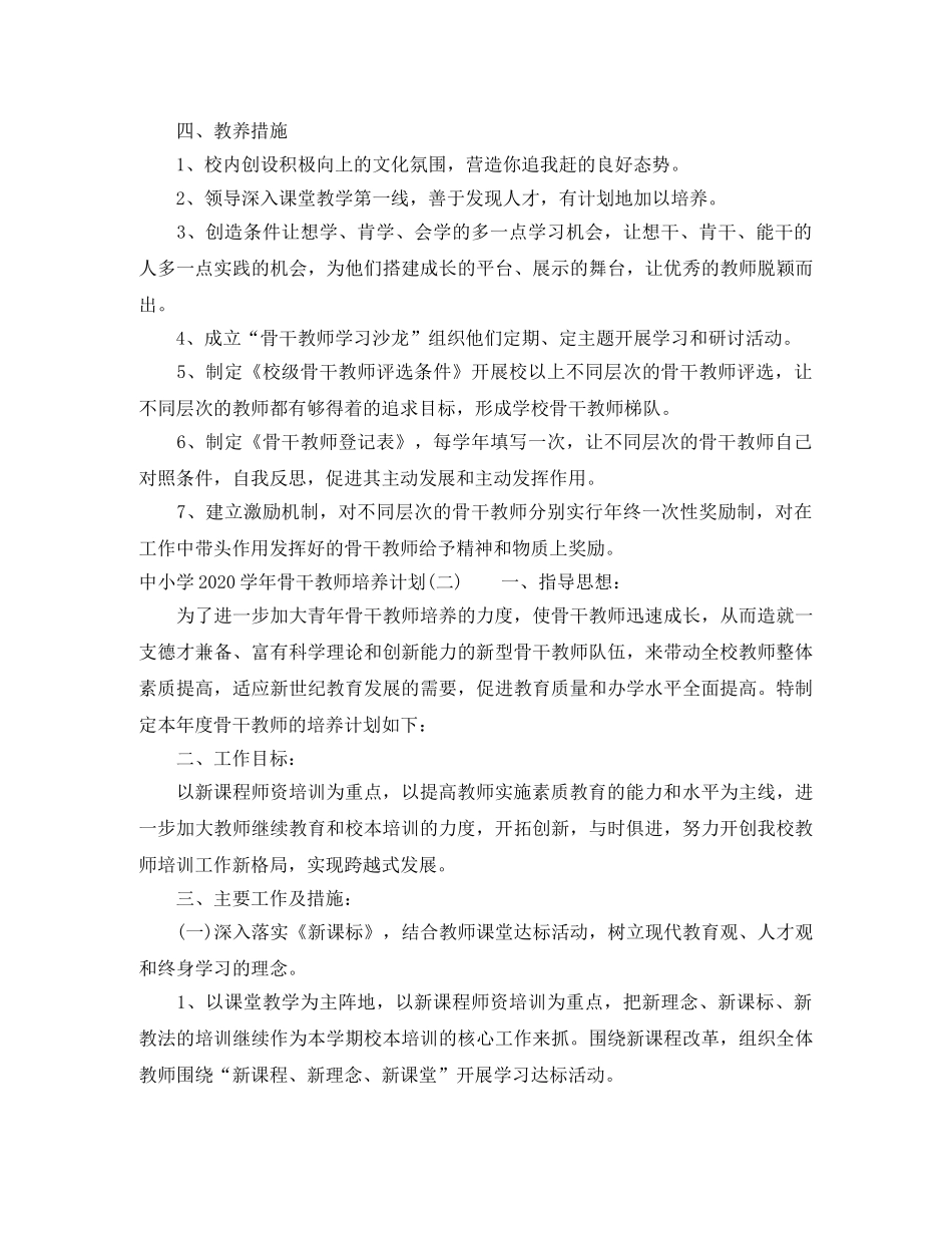 中小学2020-2021学年骨干教师培养计划 _第2页