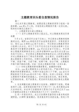 主题教育回头看自查情况报告