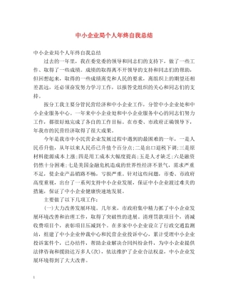 中小企业局个人年终自我总结 