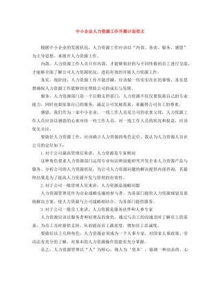 中小企业人力资源工作开展计划范文 