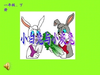 小白兔和小灰兔