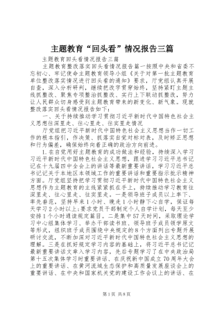 主题教育“回头看”情况报告三篇
