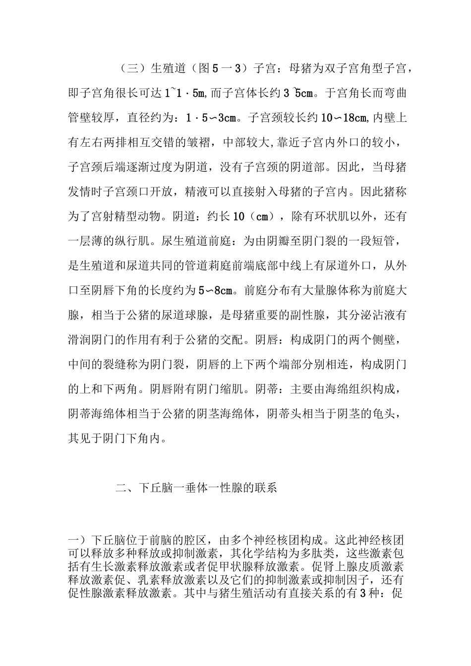 母猪生殖生理_第2页