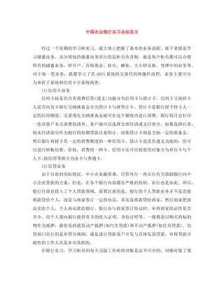 中国农业银行实习总结范文 