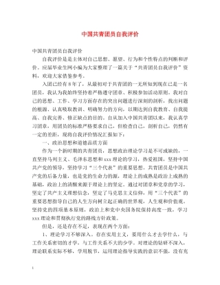 中国共青团员自我评价 