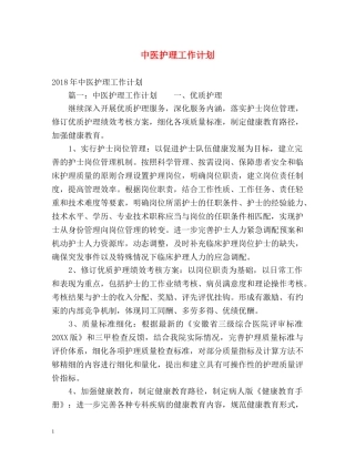 中医护理工作计划2 
